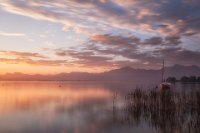 323 - MORNING GLORY 1 - ZERNIG EVA MARIA - germany <div : Alpen, Bavaria, Berge, Blaue Stunde, Boote, Chiemgau, Chiemsee, Deutschland, Farben, Gebirge, Gstadt, Himmel, Landkreis Rosenheim, Morgen, Morgenstimmung, Oberbayern, Pastellfarben, Segelboot, Sonnenaufgang, Wasser, emzphoto